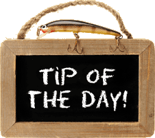 Tip of the Day