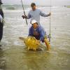 Caught on a bottom rig ( Released)