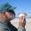 Blowtoad LOVE